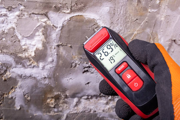 Best Toxic Mold Removal  in Chillicothe, MO